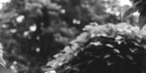 Marius_slider